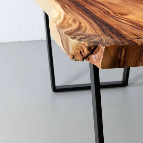 Live Edge Suar Wood Table | Natural Finish with Black U-Shaped Legs – Oakvello